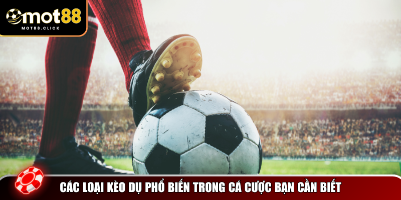 Những loại kèo dụ phổ biến nhất